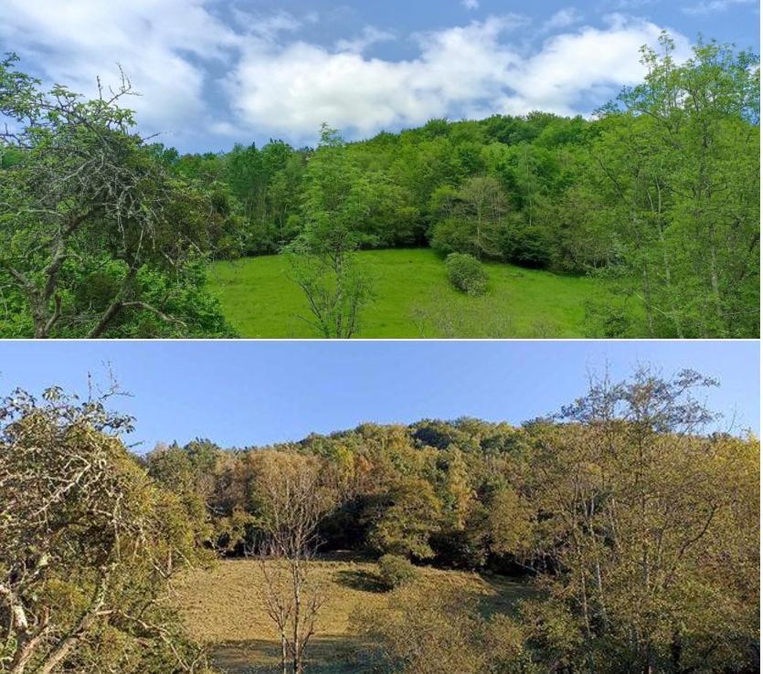 Le Gite Des Trois Ruisseaux Fougaron Exteriér fotografie